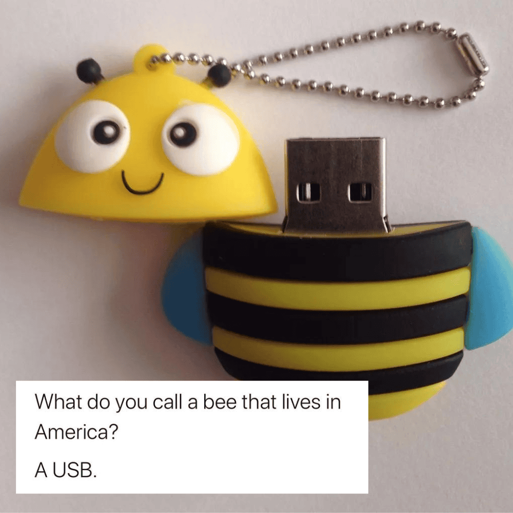 USBee