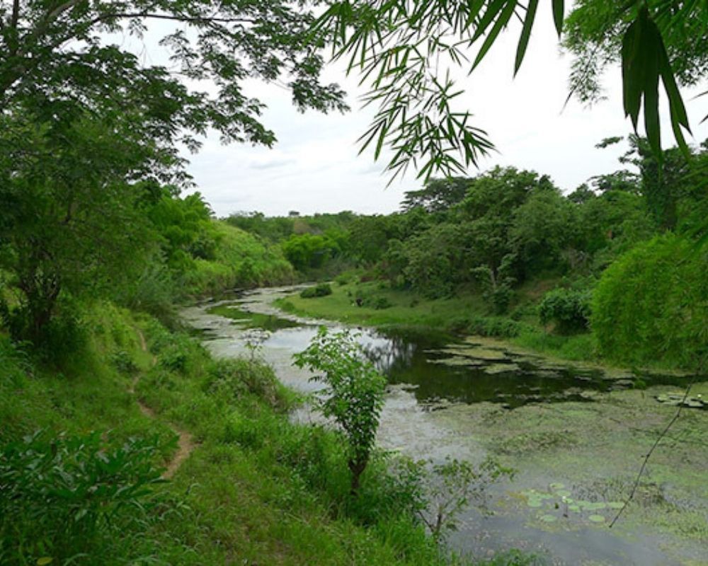 The Cauto River