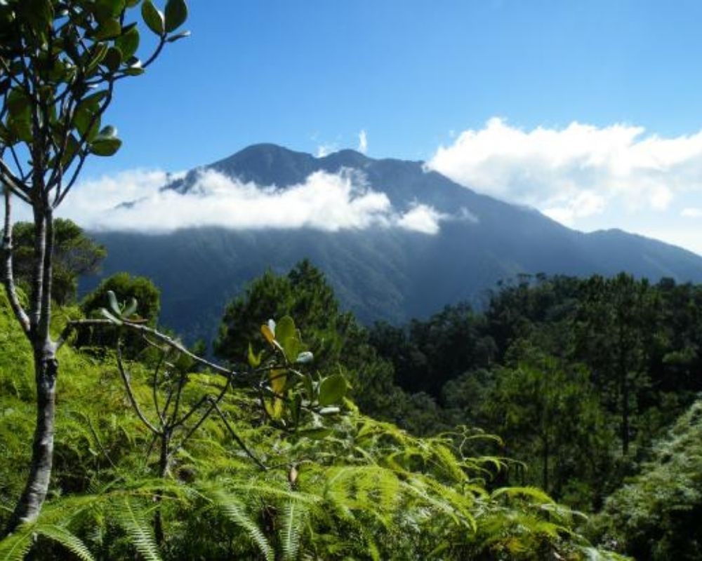 Pico Turquino