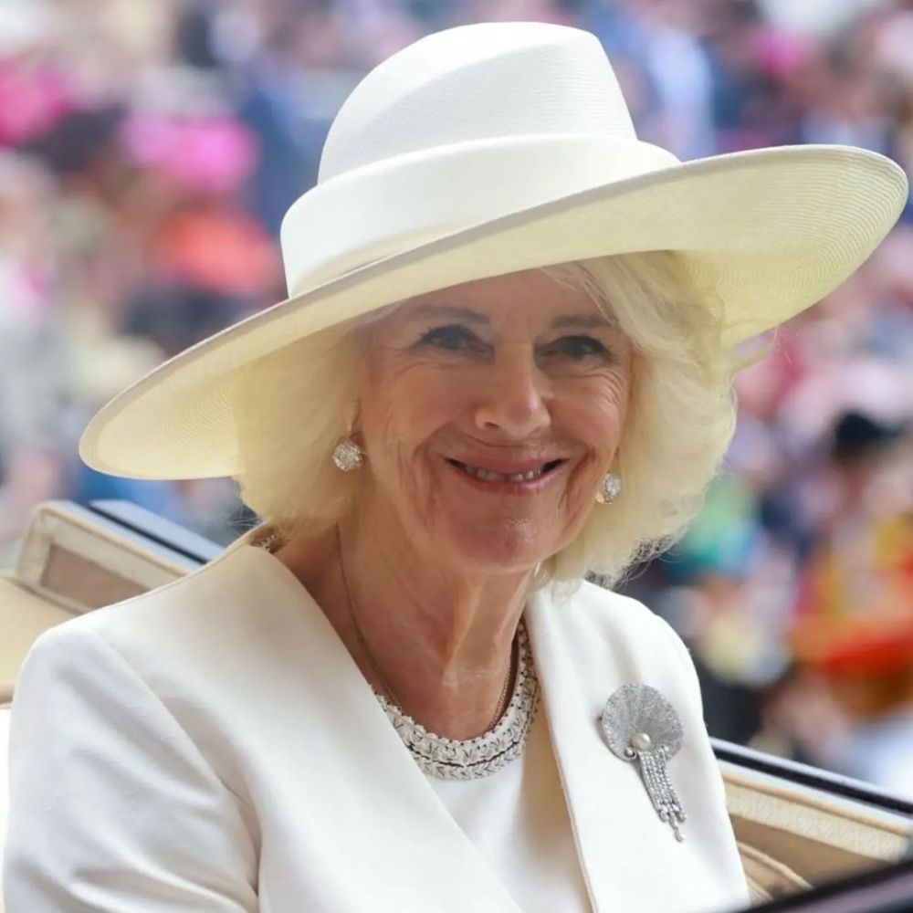 Camilla's Health Issues