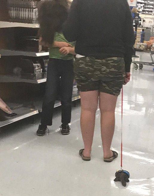 Turtle Travesty