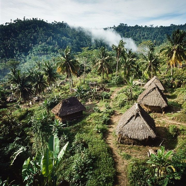 The case for the locals The case for the locals