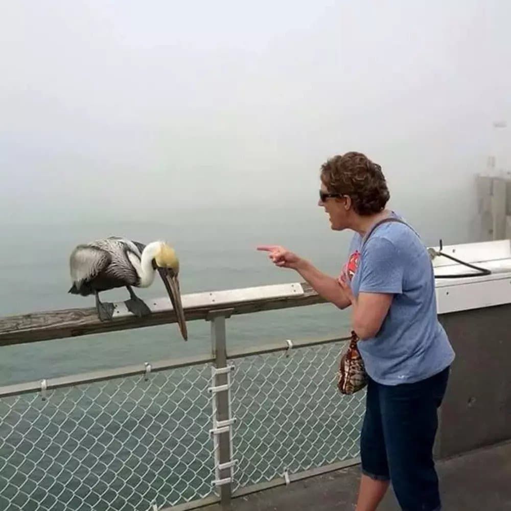 That is Not How We do it