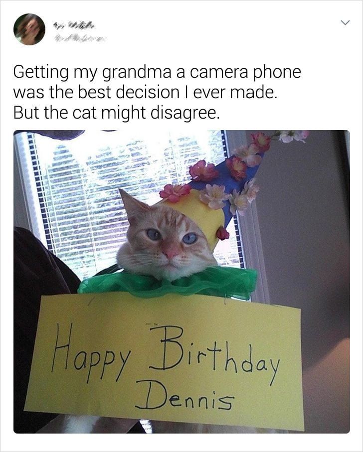 Why Did You Do It?